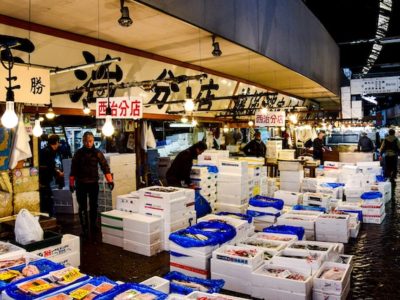 Explore Tokyo Junior Camp - Tsukiji